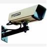 CCTV/Alarms/Detectors