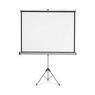 Projection Screens
